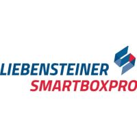 smartboxpro Archivbox 00069091 317x70x252mm 20 Stück