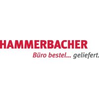 Hammerbacher Rollcontainer Solid VTC30/6/6/RE buche