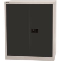 Bisley Flügeltürenschrank Universal E402A01525 2OH l.gr/anthrazit