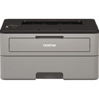 Brother Laserdrucker HLL2350DWG1 Duplex s/w