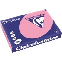 Trophee Color Kopierpapier 1277C A4 120g heckenrose 250Bl.