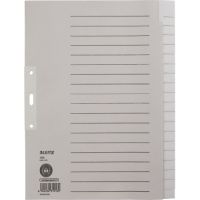 Leitz Register 12200085 blanko DIN A4 20teilig Papier grau