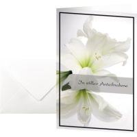 SIGEL Trauerkarte Amaryllis DS006 11,5x17cm 10 Stück +Umschläge
