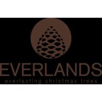 EVERLANDS Weihnachtsbaum 709264 Papier 40x30cm ws