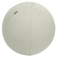 Leitz Sitzball Active 65410085 55cm h.gr